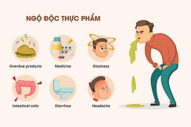 Các Nguyên Nhân Gây Ra Ngộ Độc Thức Ăn Bạn Nên Biết