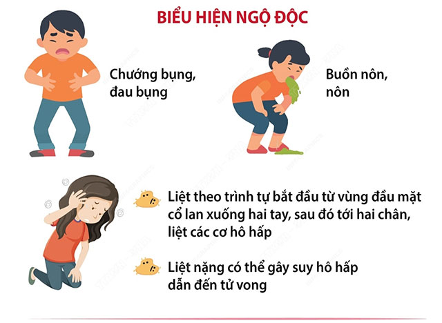 Các Nguyên Nhân Gây Ra Ngộ Độc Thức Ăn Bạn Nên Biết